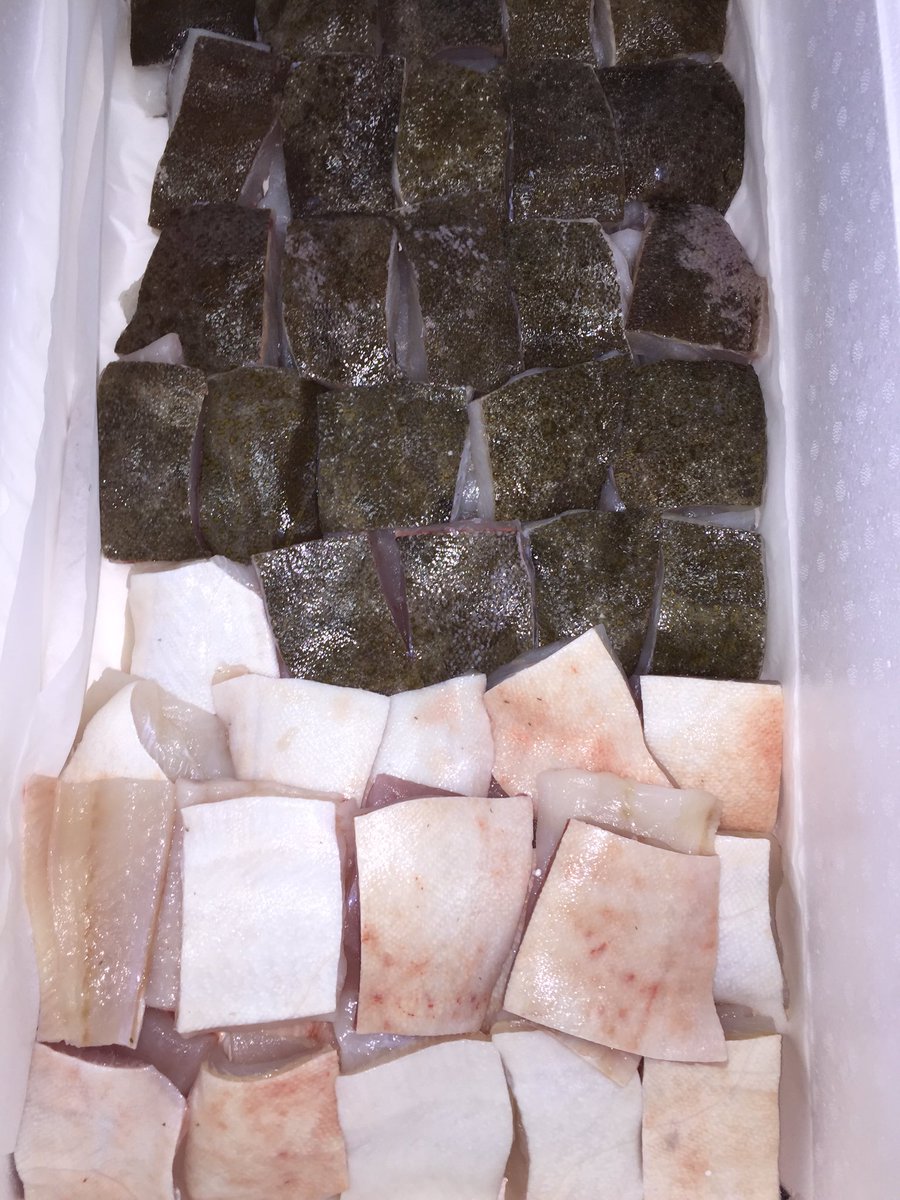 FishForKings's tweet image. Brill portions ready to go. Hand cut superb quality #fishfish #buylocal