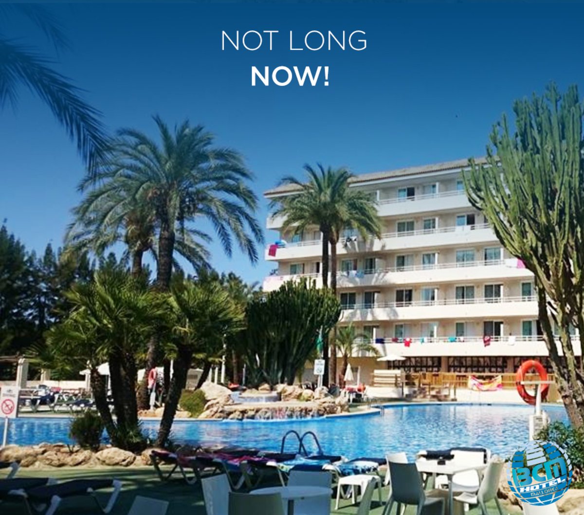 bcmmallorca's tweet photo. The wait is almost over!

https://t.co/ODfIkDaWSr https://t.co/OLnx2WtljJ
