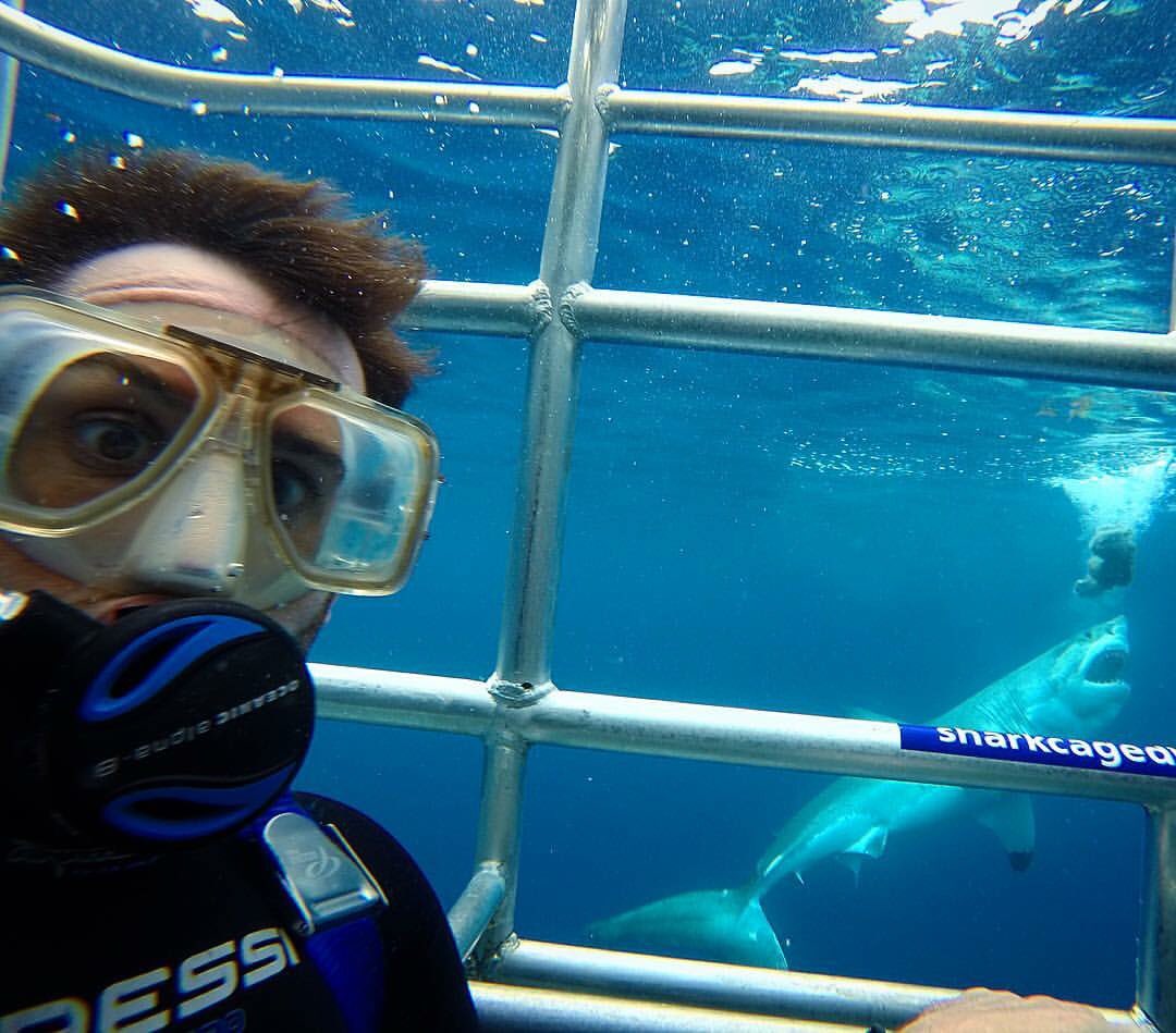 tombarts's tweet photo. One of the best experiences of my life. Absolute machines😍@sharkcagediving #greatwhites #calypsostarcharters https://t.co/8Plf6OuQ0C