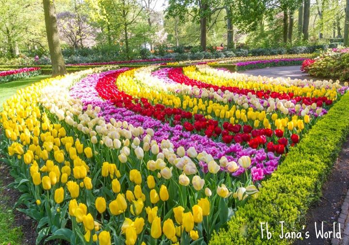 SheikhZarmin's tweet photo. https://t.co/t7Q1n8ElkM