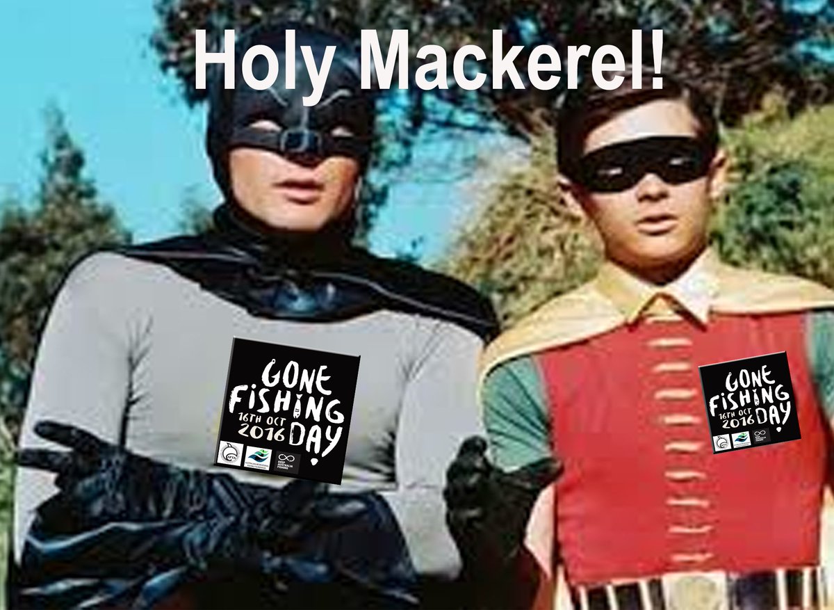 GoneFishingDay's tweet photo. Holy Mackerel - < 6 months to Gone Fishing Day! Time to start planning - where will you spend Australia's first GFD? https://t.co/qSWZunm8pi