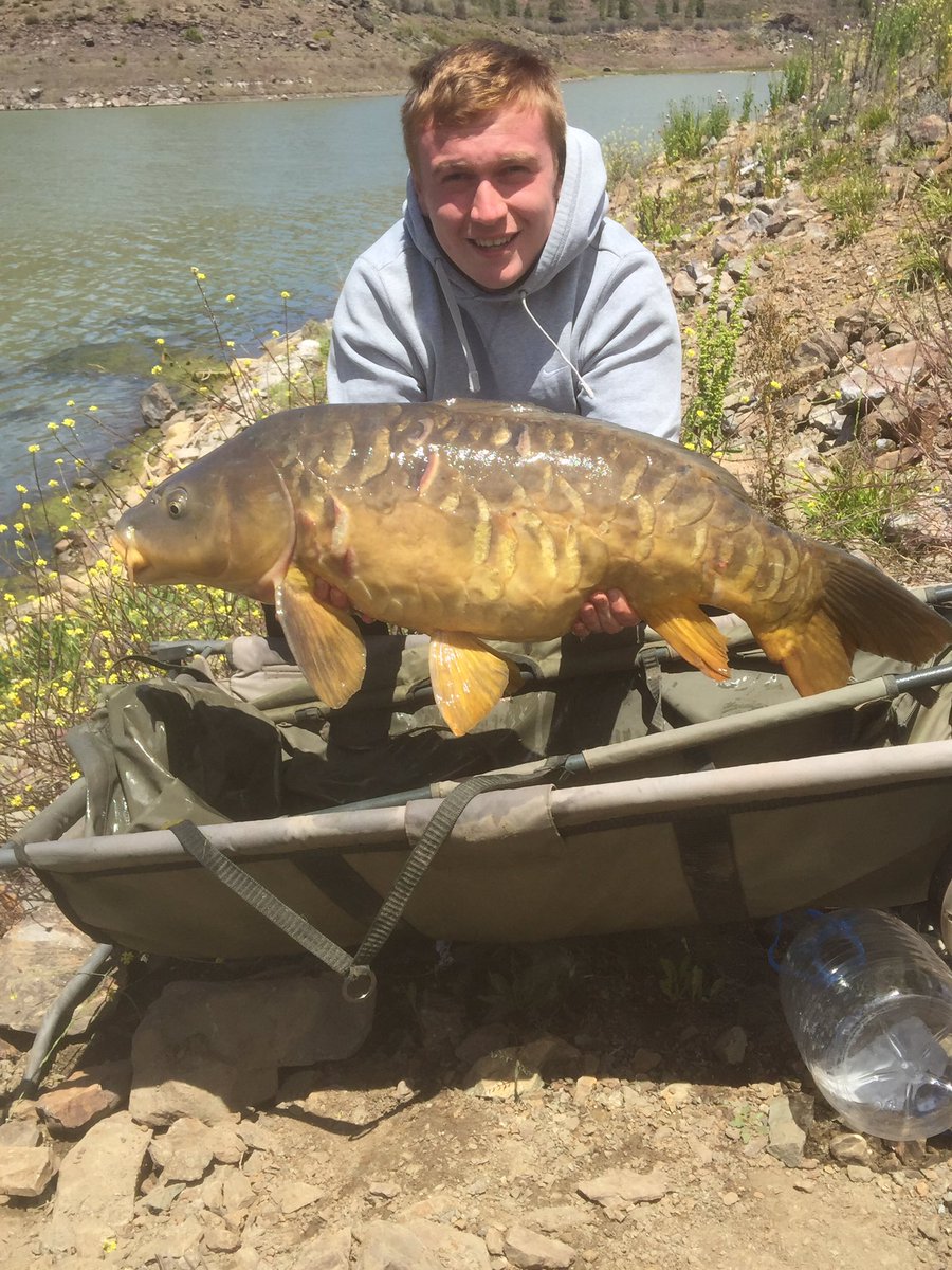 Ed Martin tweet media