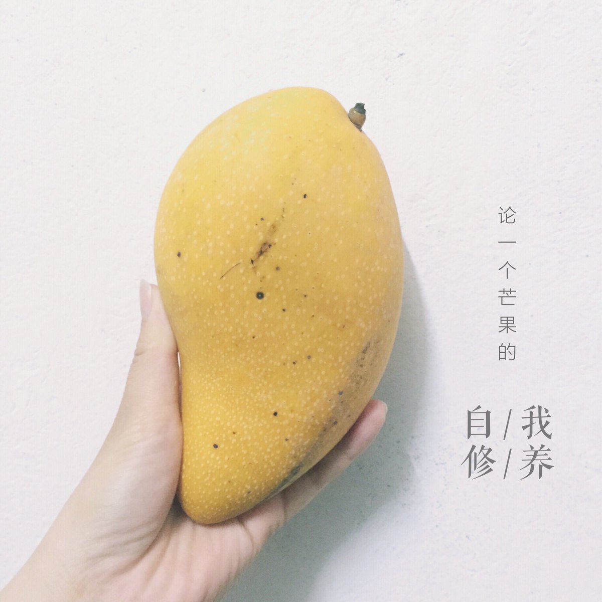 Alice__chen's tweet image. rainy day