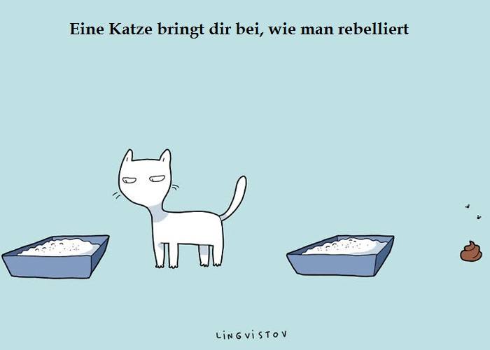 Trotzdem #lieben wir die #Katzen . Oder vielleicht gerade deshalb? #tierfreund #cats #lustig