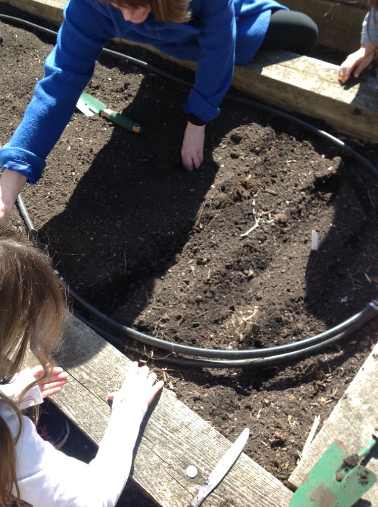 2ndgradekramer's tweet photo. Spring has sprung and we got our garden started! #2k106 https://t.co/10XtGURftS