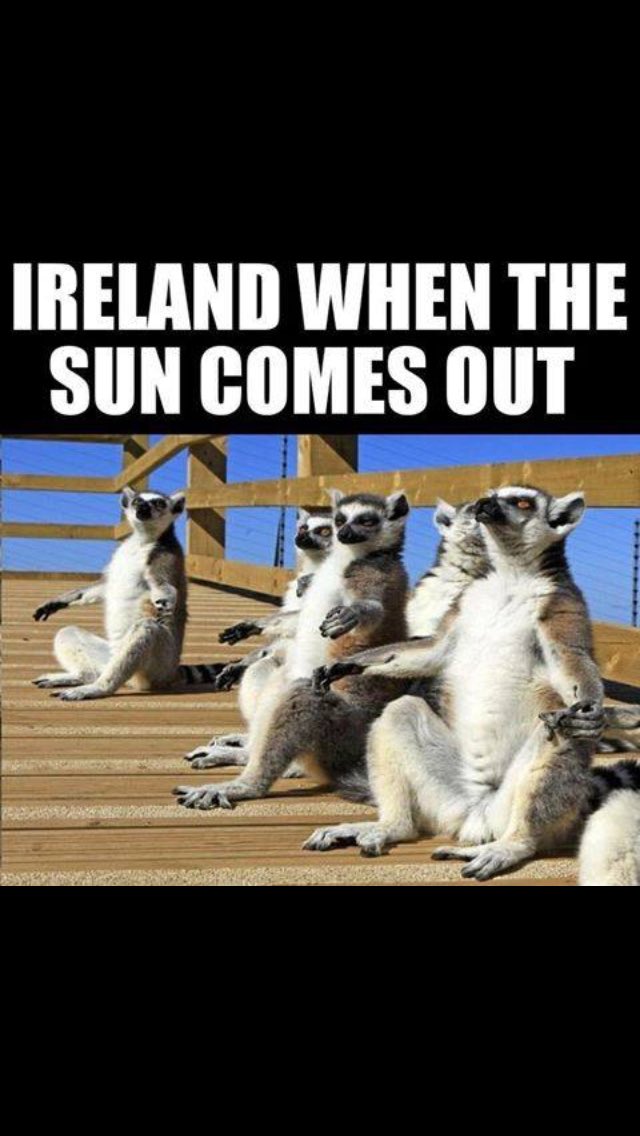 IrishParentMag's tweet photo. ☀️#summerisontheway https://t.co/Y5rmnG45y5