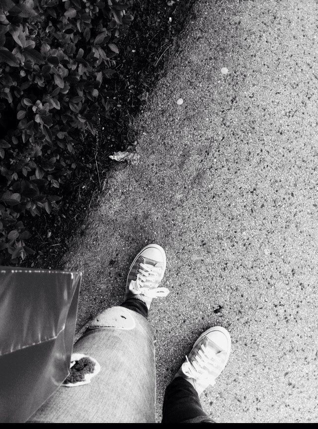 EnikoVolfram's tweet photo. #blackandwhite #surprise #mystery #birthsday https://t.co/SBj4QwkGAd