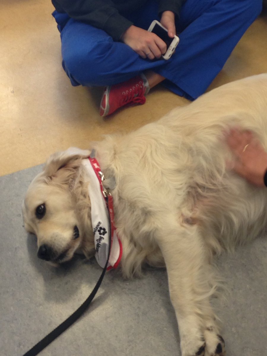 St. Clair SRC tweet media