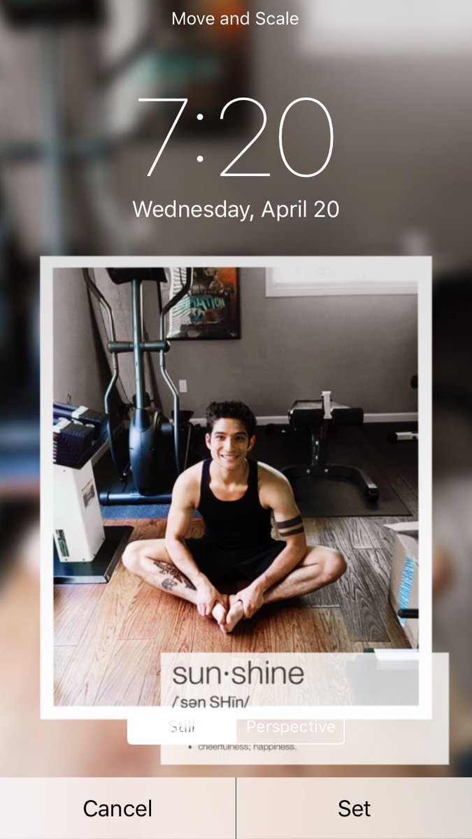 lckscreencolors's tweet photo. Tyler Posey lockscreen 🌟

rt if you want it ☁️

mbf 🗝 https://t.co/kqCdqGbM8E