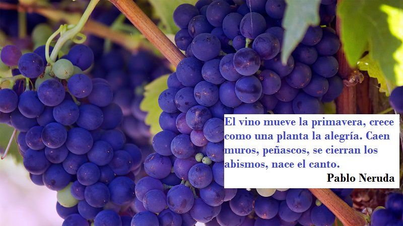 Food Wine life love tweet media