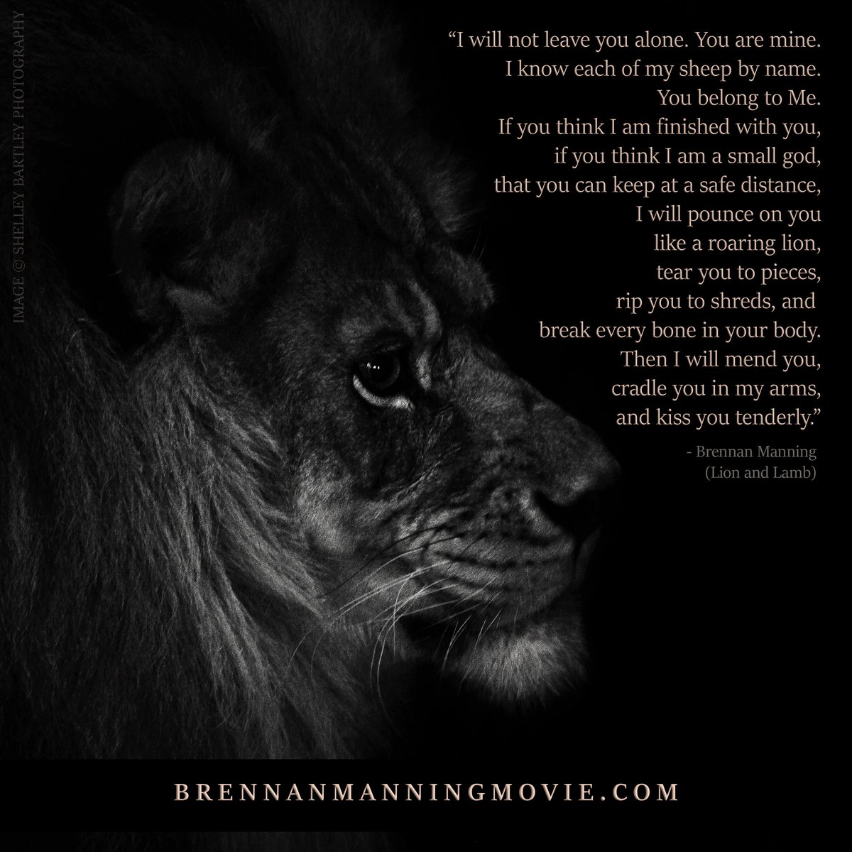 ColorGreenFilms's tweet image. &quot;If you think I am finished with you....&quot;  

// Brennan Manning Movie Update: facebook.com/brennanmanning…