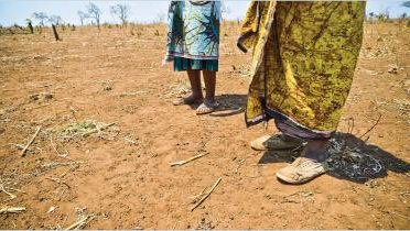 Human Rights Watch tweet media