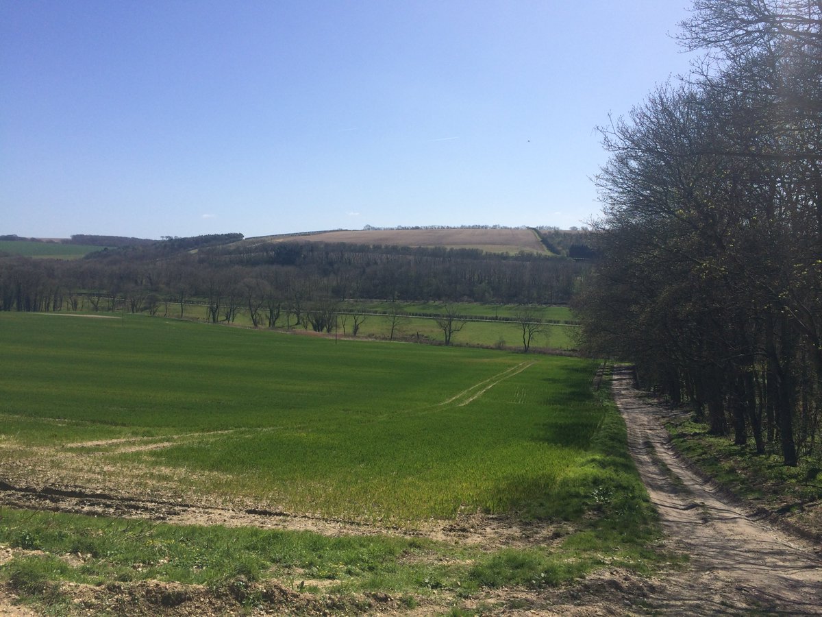 InstituteforOD's tweet photo. Enjoying a break with a view on this beautiful sunny day! #beechOD https://t.co/eKstmj0rAf