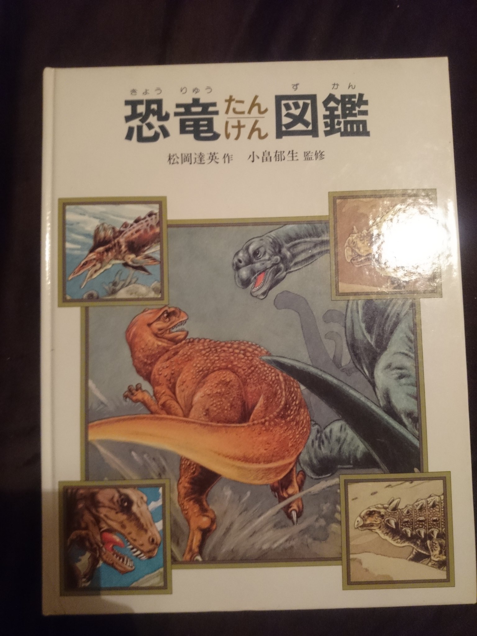 恐竜図鑑 カラー版 小畠郁生監修 Amazon.co.jp: 増補改訂 恐竜の生態図鑑 (大自然のふしぎ