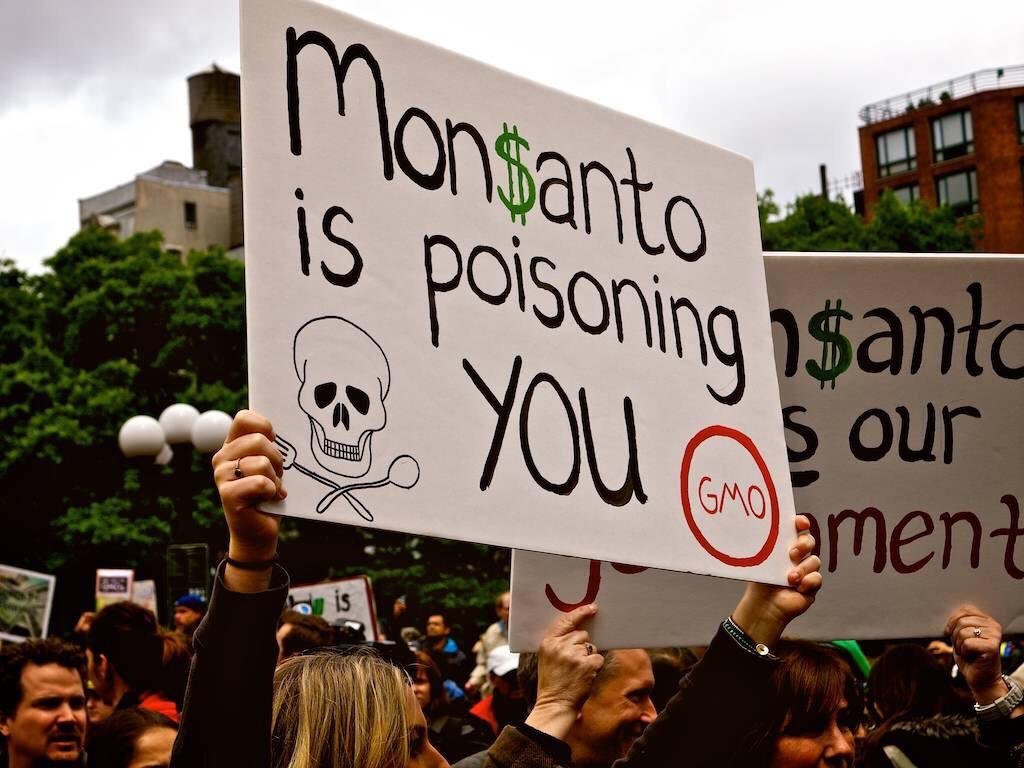 Fight Against GMOs (@say_no_gmo) on Twitter photo 