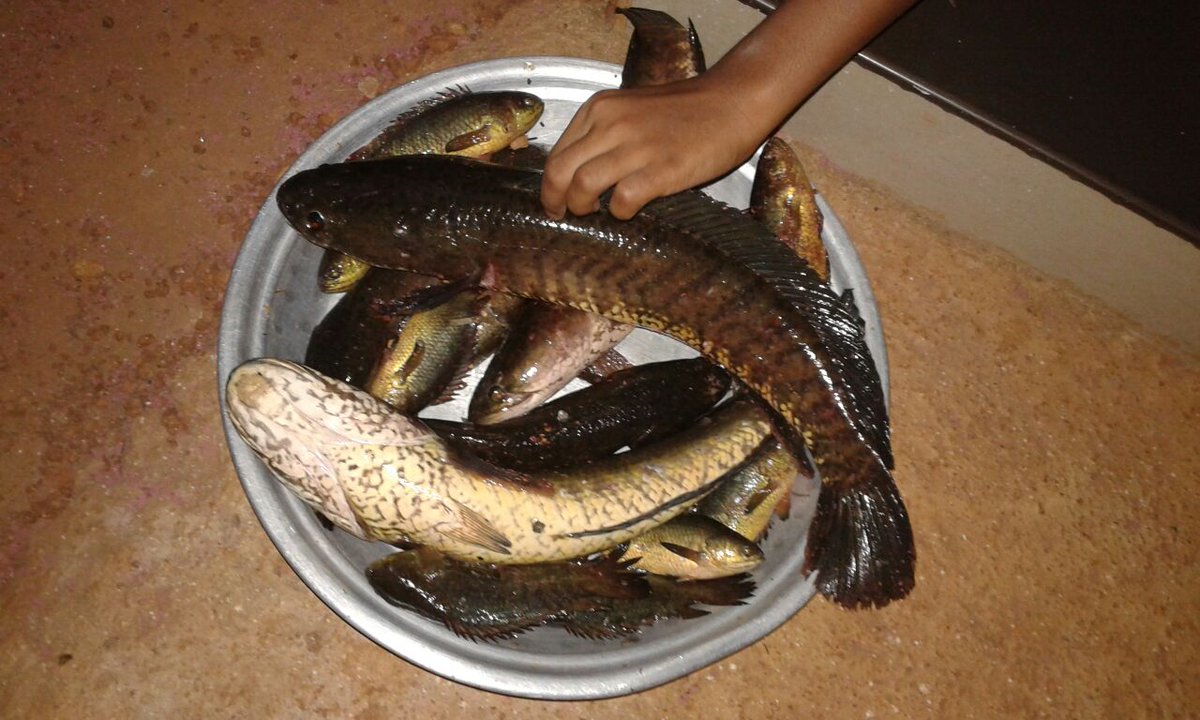 abdul kareem (@kareempk) on Twitter photo 