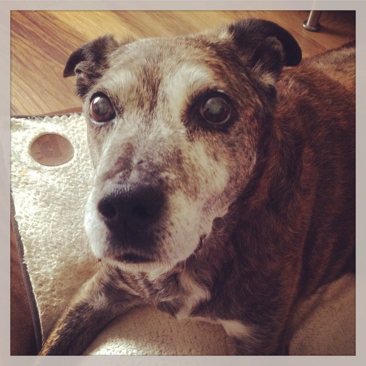 Chantel L 💭 tweet media