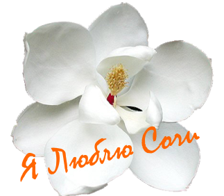 artemfosfor's tweet image. Экскурсии в Сочи | Экскурсии в Адлере! Вступай: vk.com/ekskursii_v_so…