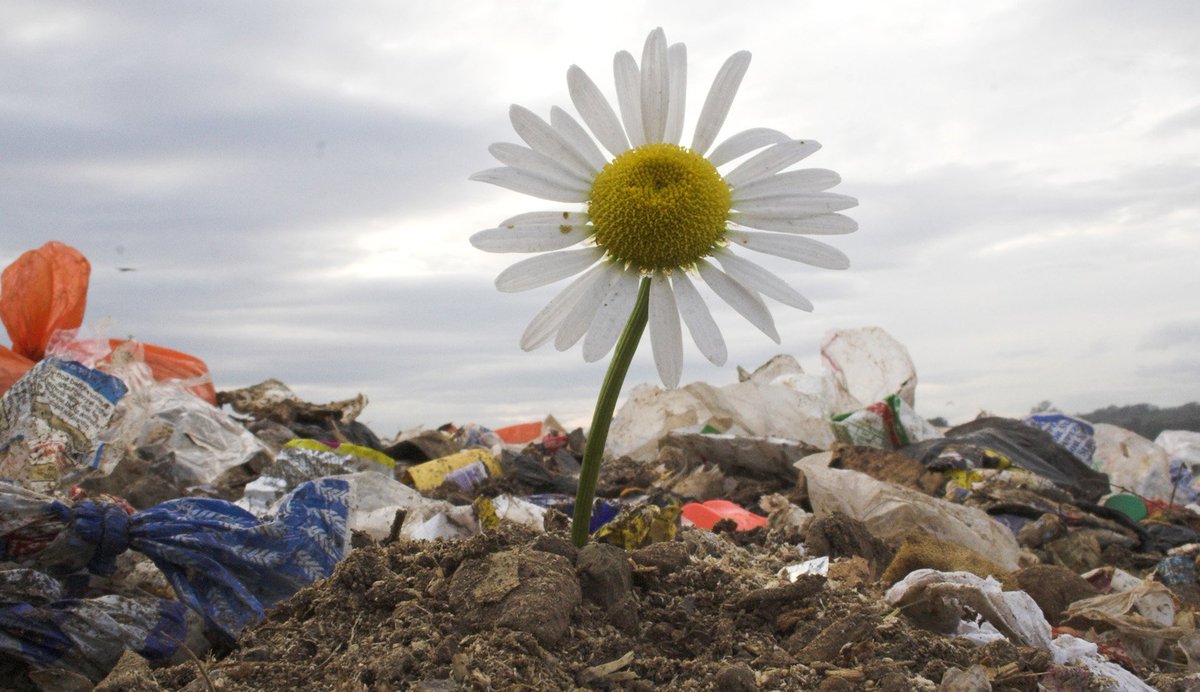 What are you doing to make a ➕➕ impact on the #environment? Take action everyday: bit.ly/1NANYUv #EarthDay