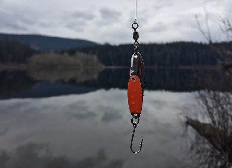 WestCoast Tackle Box tweet media