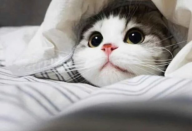 marcogarduno's tweet photo. Buenos dias...hace un poco de frio... https://t.co/eH4s9vAXwQ