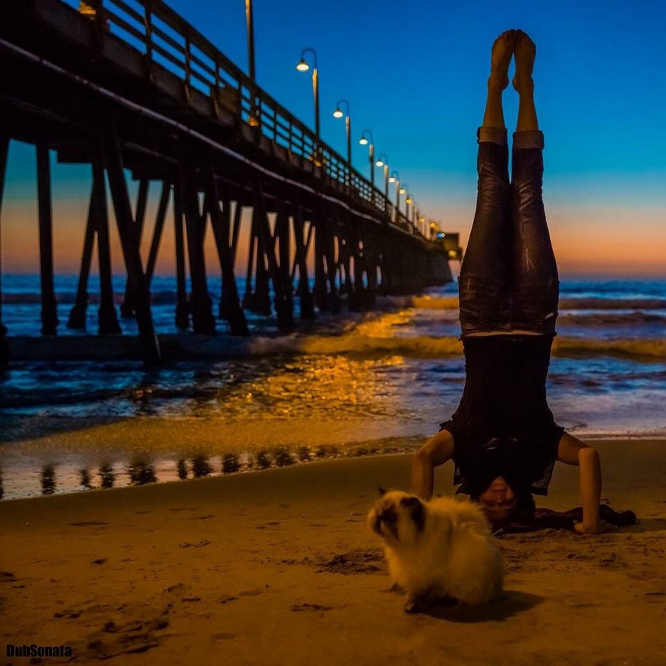 nikkitadoll41's tweet photo. #frumpycat #yogapet #missthisgirl #rip #pawprintsonmy❤️ #faithfulcompanion @DubSonata @EmergencyKitten https://t.co/sFNI8pnNFx