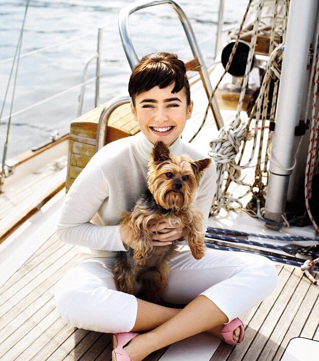 postbadlcollins's tweet photo. https://t.co/Tfd3RtcRJu