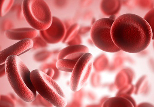 FractalArt_gr's tweet photo. Η ζωή με την αιμορροφιλία
#health #proetction #hemophilia https://t.co/FoJawtOUOs https://t.co/Dx5LL8Iqs1