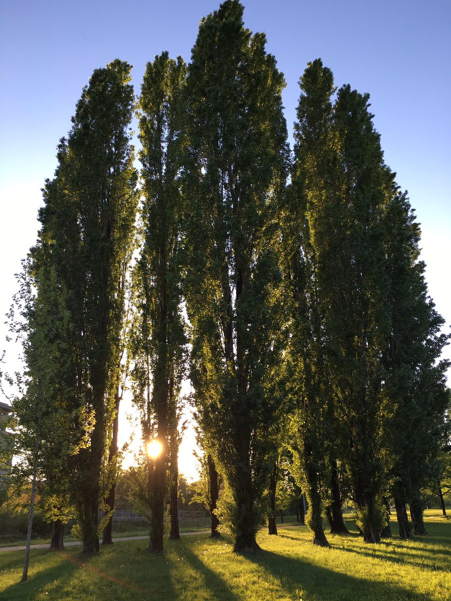 giudy13giudy's tweet photo. My hometown💜 #ParkOne #Rozzano 🤗🙋🙂 https://t.co/KUdYfSHT47