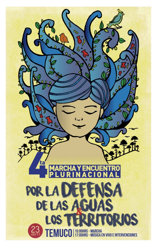 Alerta244 tweet picture
