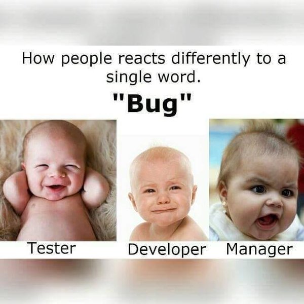 Codesparta's tweet image. &quot;Bug&quot; ~ via @Codesparta