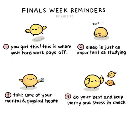 A few friendly reminders from #Chibird. We're halfway through! #exams #StressLessFest