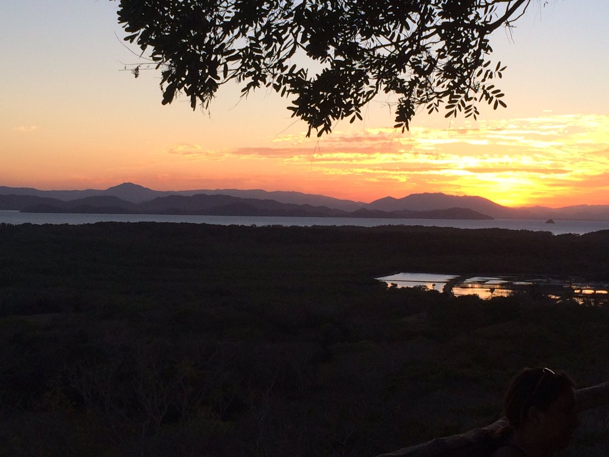 jazzmancuso's tweet photo. Take me back to Costa Rica, please #PuraVida https://t.co/r8A3HimkjV