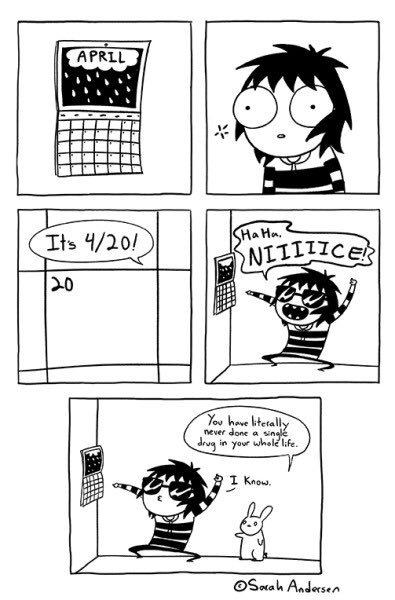 sarah andersen on twitter