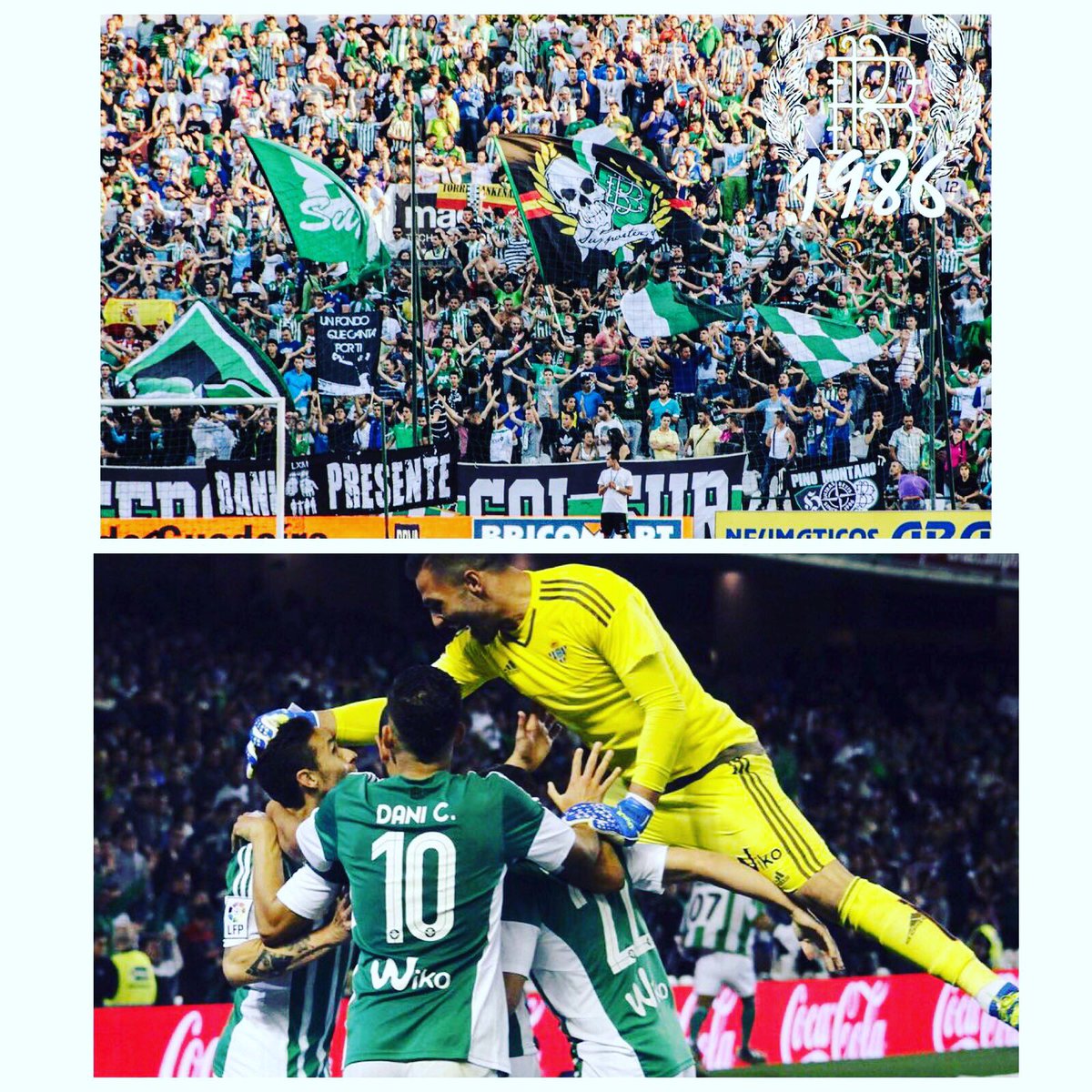 DaniCeballos46's tweet photo. Todos unidos para el partido del domingo donde tenemos que estar al 100% y competir VAMOS BETIIS 👊🏽⚽️💚 https://t.co/w75tigOeJe