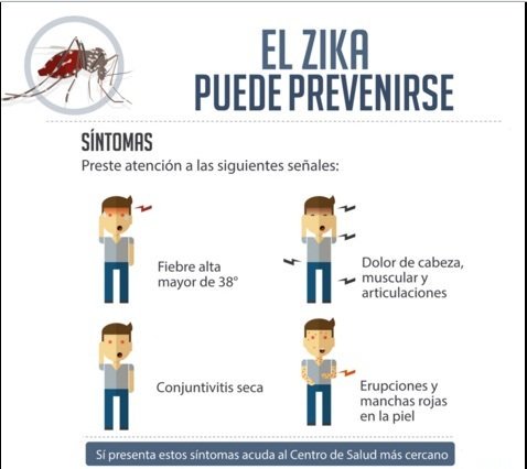 marciocanariom's tweet photo. Cuidar los niños del mosquito #MSPCeroZika @lysolgonzalez @MagalysHernand5 @montero197 @dralbertodiaz https://t.co/8iD6IyFwir