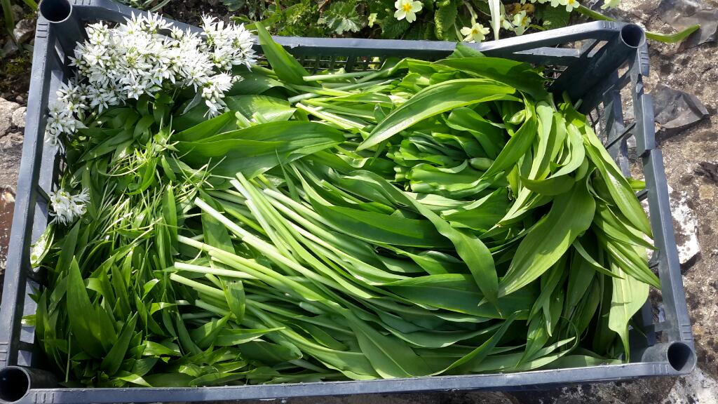 TIFFANY HYDE R2R tweet media