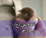 يـ,ـآقـ,ـۅتـ,ـةّ (@labohalasady) on Twitter photo 