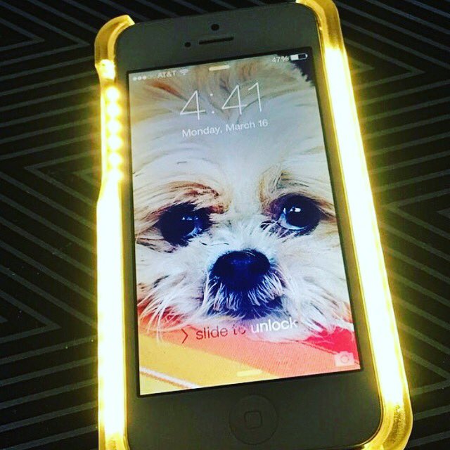 livelycase tweet picture