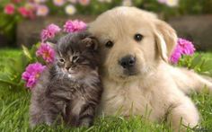 aimeeneddo's tweet photo. https://t.co/BoQhLHRK8F