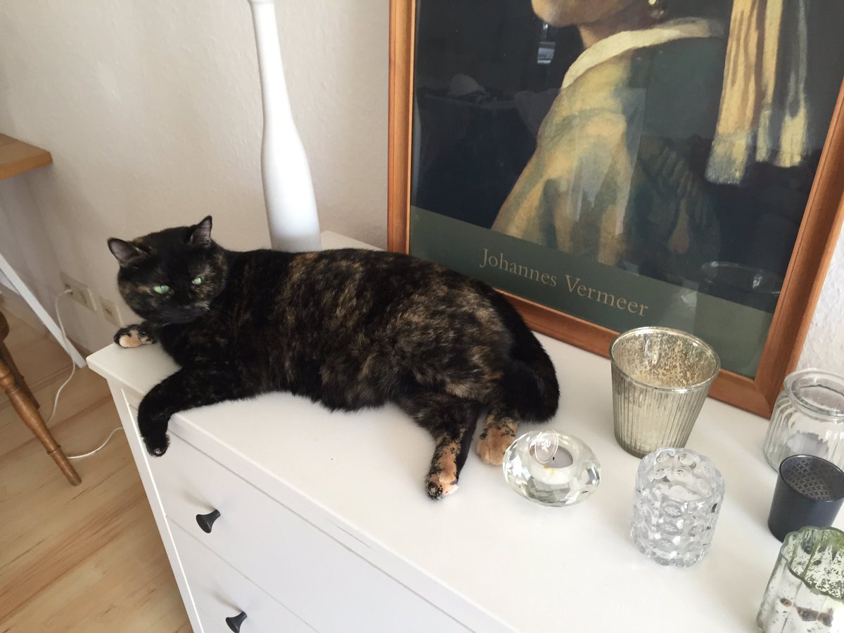 Der Platz ist doch wie für mich gemacht, findet ihr nicht auch?