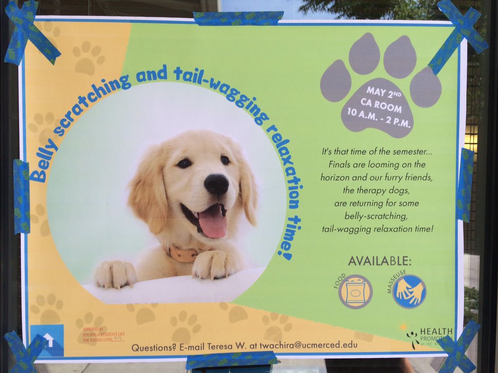 DianaUCMSFC's tweet photo. OMG therapy dogs are coming to campus May 2nd!! AHH I'm so excited😭 #tellyafriends #dogsss https://t.co/ebathaRx1i