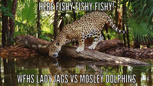 Lady Jags Softball tweet media