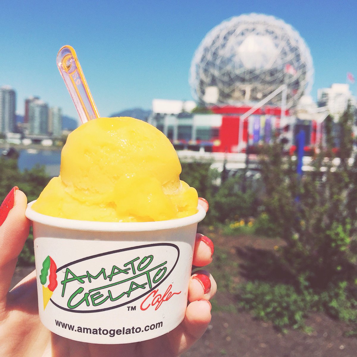 MPMGarts's tweet photo. @amatogelatovan on a #sunny day! #yum #LMPRlife #falsecreek #yvr https://t.co/9rCSiDN1Qu