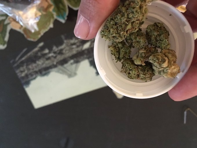 #Happy420 bounty is here all #labtested #mmj #California ❤️you! https://t.co/jZM6IGVdYK<a href="/tag/happy420"class="tags">#Happy420</a><a href="/tag/labtested"class="tags">#labtested</a><a href="/tag/mmj"class="tags">#mmj</a><a href="/tag/california"class="tags">#California</a>