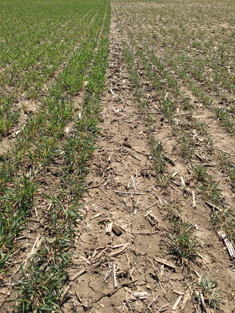 No need to flag where MAP ran out last fall when seeding hybrid rye.       <a href="/cheekyfarmgirl/">Ann Vermeersch</a> <a href="/pc300lc5/">陳智信</a>