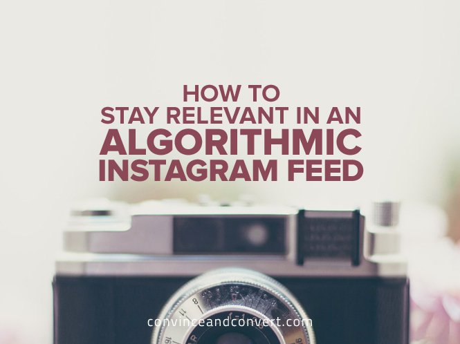 subversionz's tweet image. #instagram .RT @copacino: Great tips on staying relevant on Instagram from @IndiaAM buff.ly/1rkFPPL