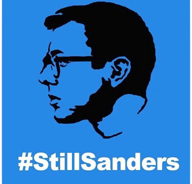 hkittykatz's tweet image. #StillSanders for a true democracy by the people and for the people. #writehimin #BernieOrBust