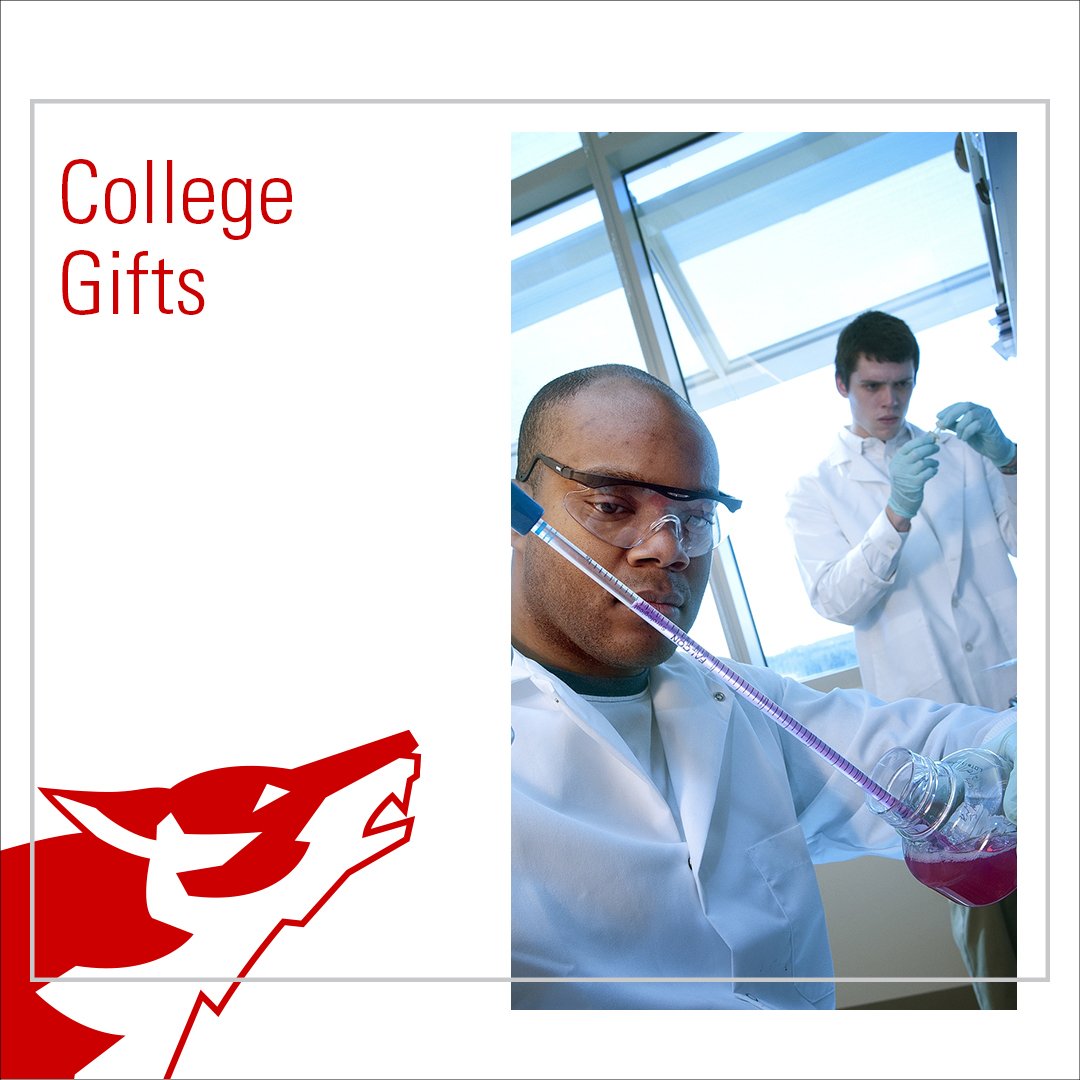 Excited to see alumni supporting various funds in the 10 <a href="/NCState/">NC State University</a> colleges. go.ncsu.edu/sustainingthep… #yourgiftmatters