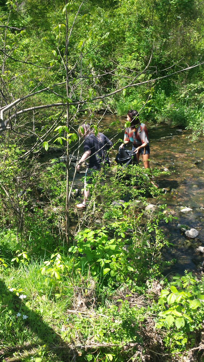 KWPoole97's tweet photo. Great time contributing at the creek clean up!! ♻🌊 #creekcleanup #recycle #extra
#EarthWeek  @MMC_TN @MMCBiology https://t.co/aHfsLBg0p1